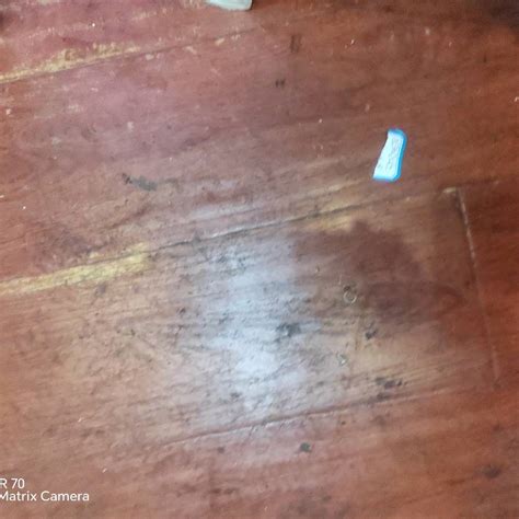 悟空体育全站App 悟空体育